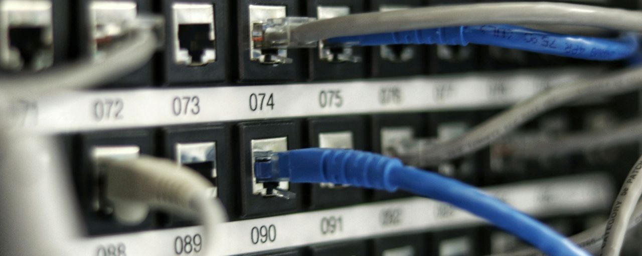 Network patch cables plugged into a server rack